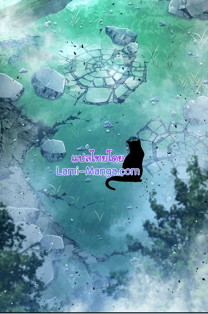 The Live 077 023