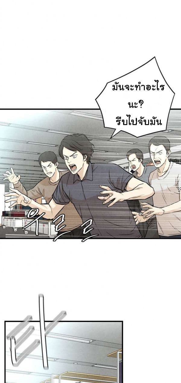 Return Survival 12 07