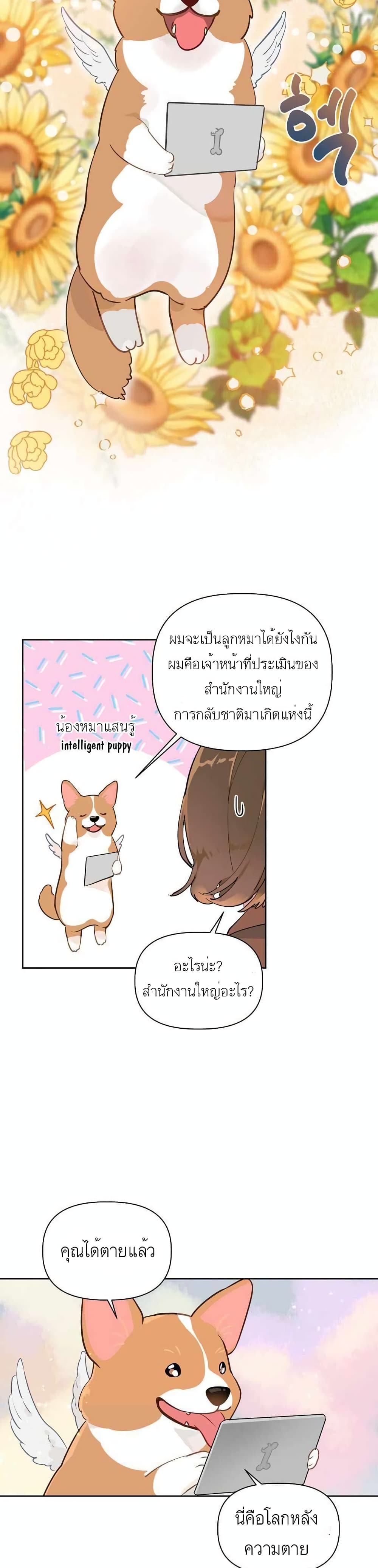 A Transmigrator’s Privilege 1 15