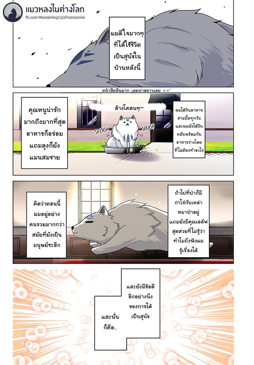 Wanwan Monogatari ตอนที่ 8 (1)