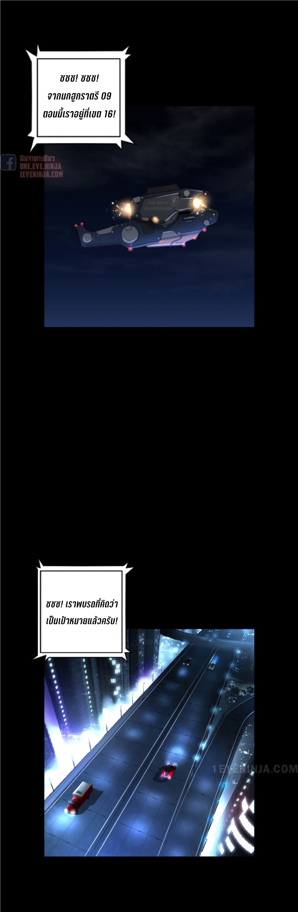Trinity Wonder 42 24