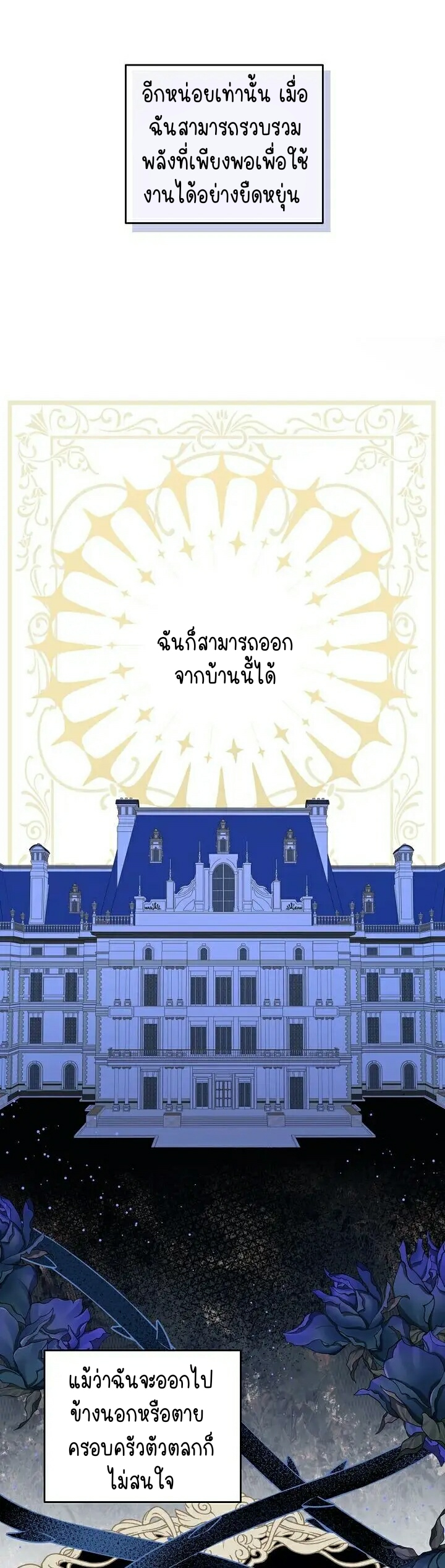 เนเธกเนเธกเธตเธเธทเนเธญ 213