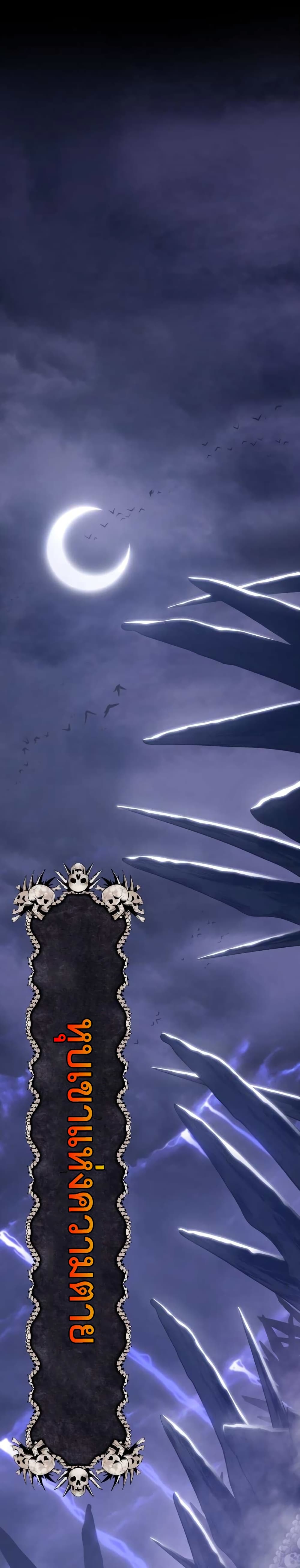 +99 Wooden Stick 2 045