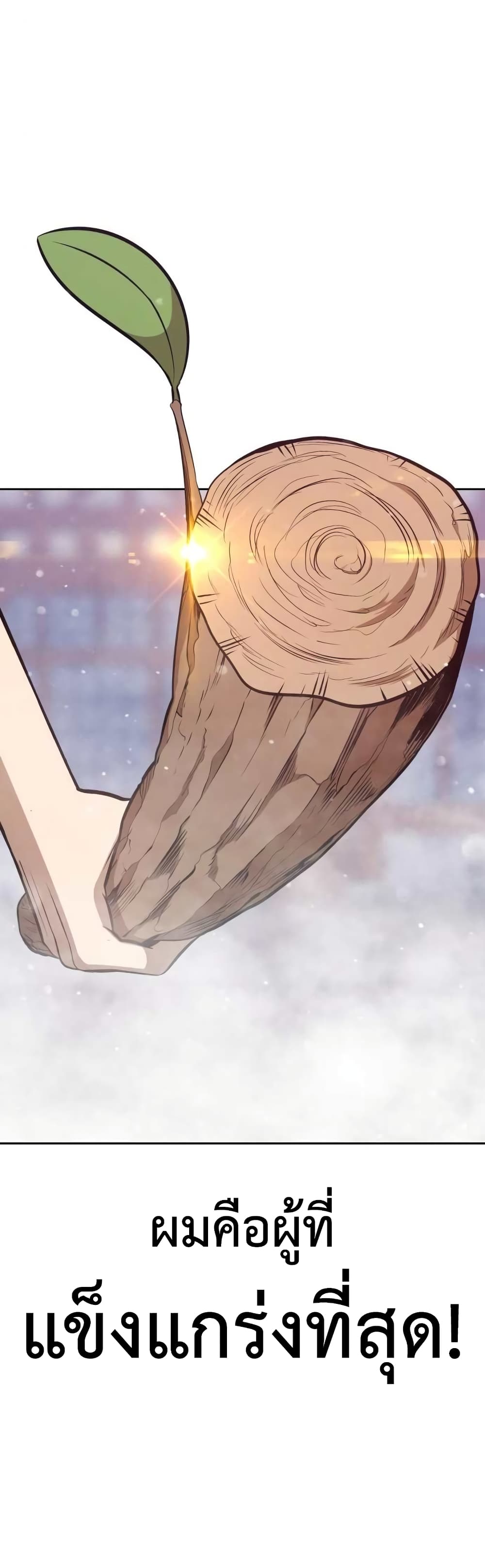 +99 Wooden Stick 2 021