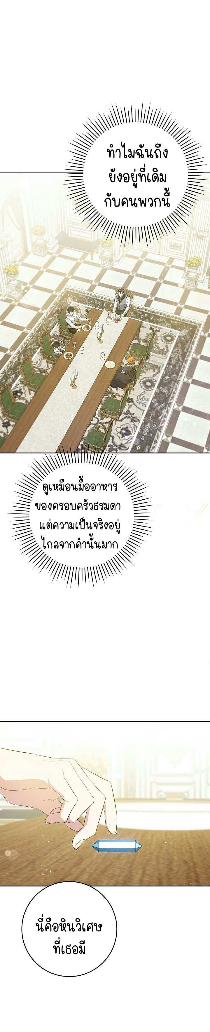 เนเธกเนเธกเธตเธเธทเนเธญ 425