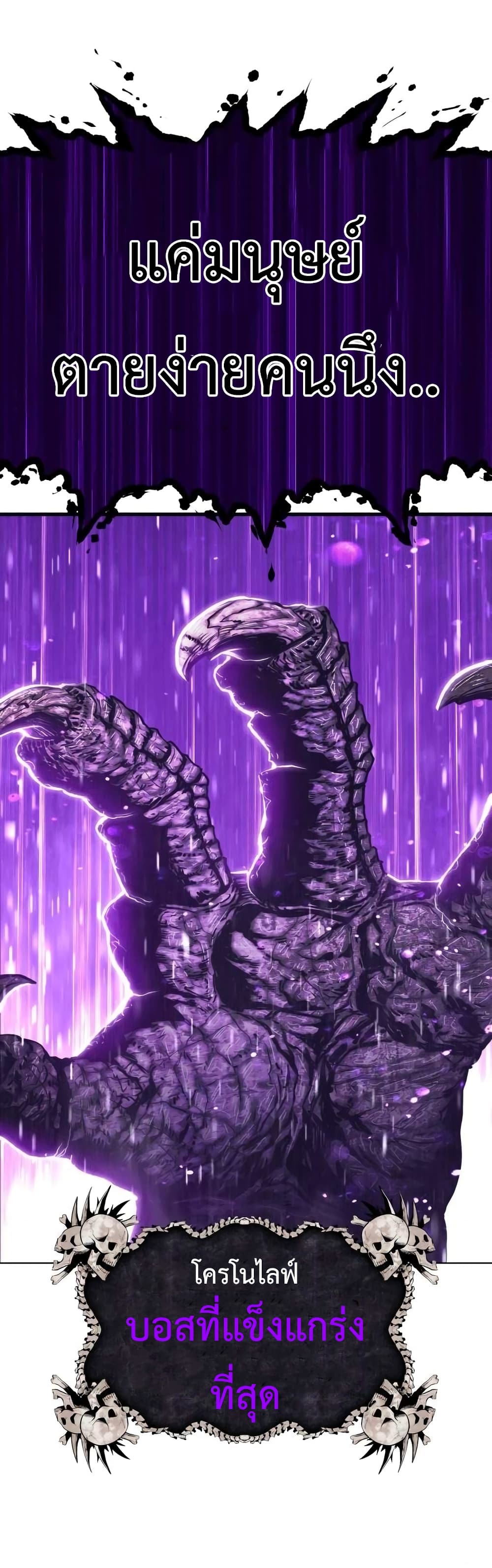 +99 Wooden Stick 2 058