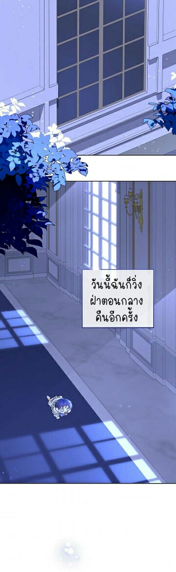 เนเธกเนเธกเธตเธเธทเนเธญ 218