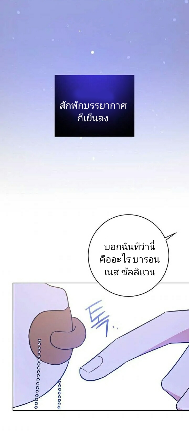 เนเธกเนเธกเธตเธเธทเนเธญ 24