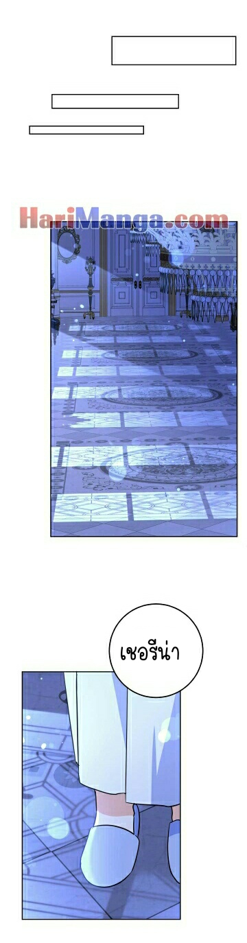 เนเธกเนเธกเธตเธเธทเนเธญ 261