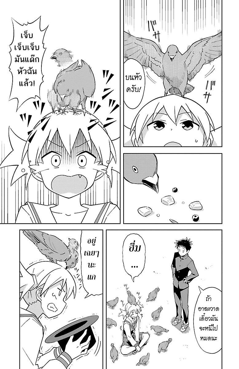 à¸­à¹ˆà¸²à¸™ Atsumare! Fushigi Kenkyuubu