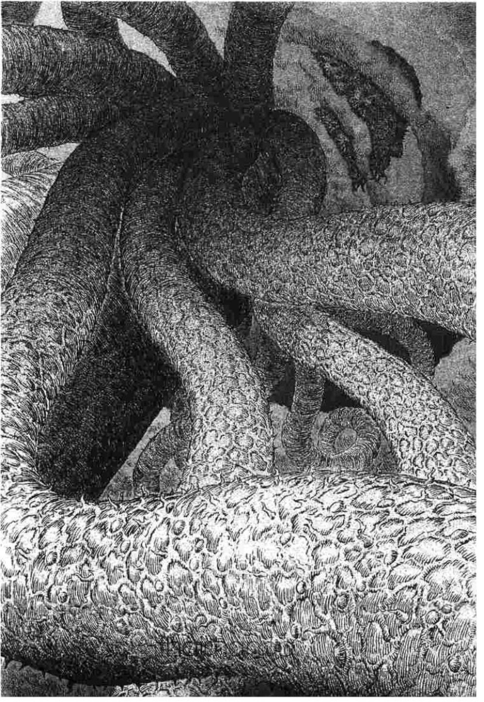 Berserk