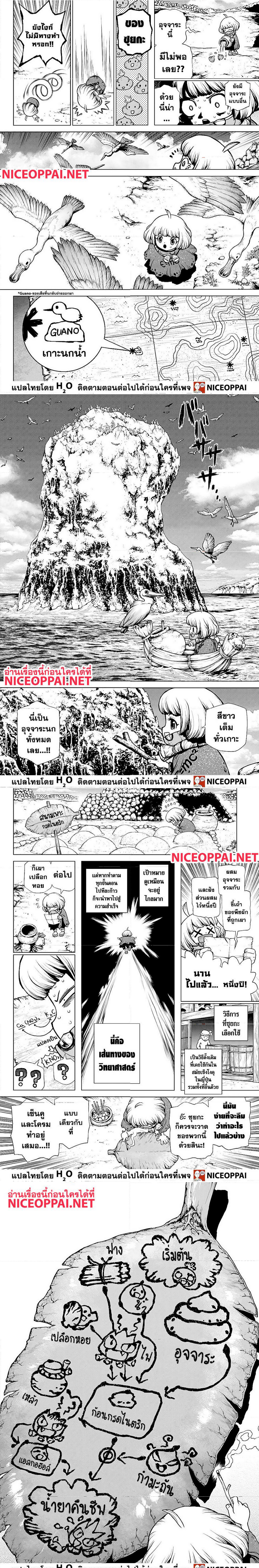 Dr (3)