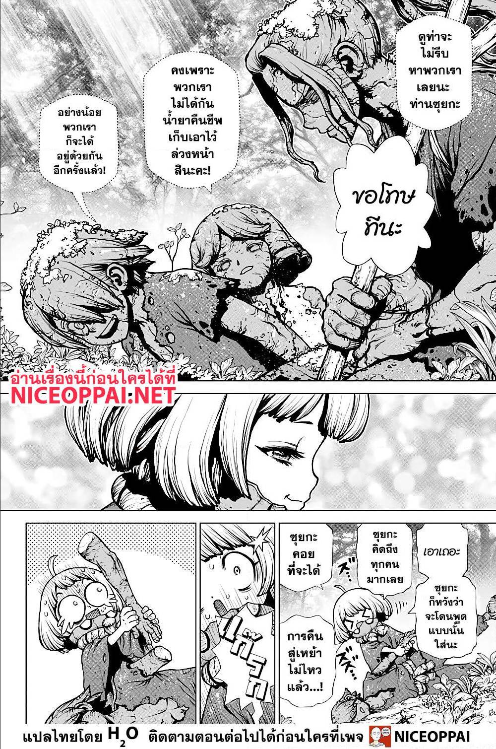 Dr Stone 195003