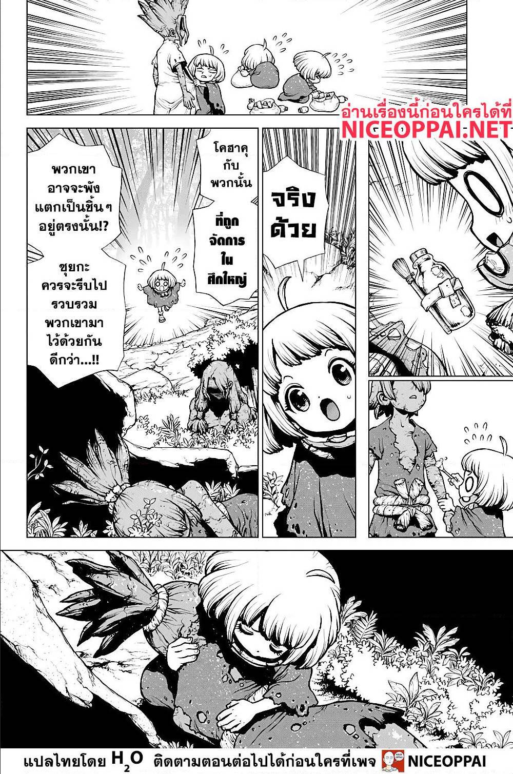 Dr Stone 195005