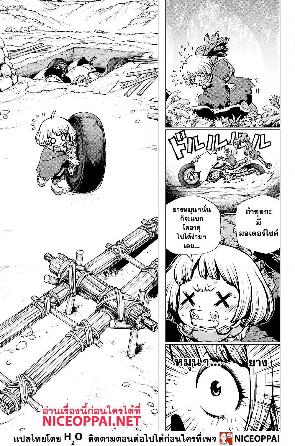 Dr Stone 195006