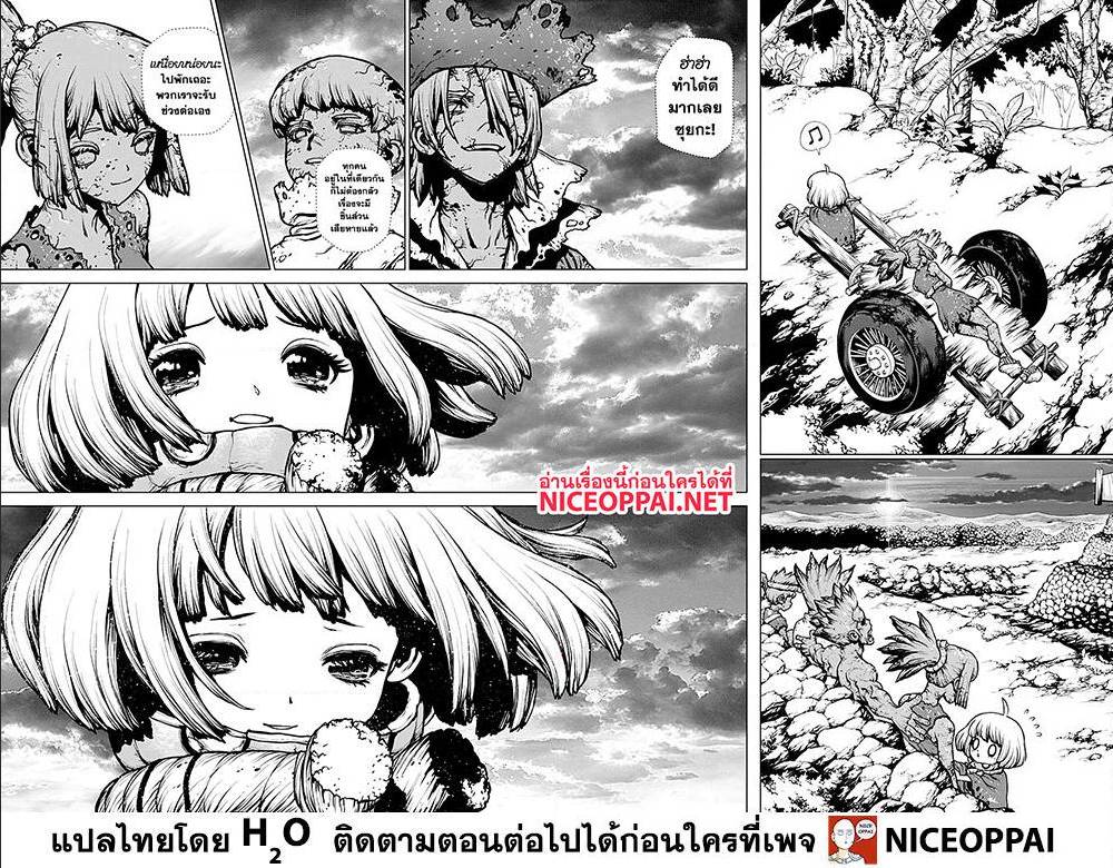Dr Stone 195007