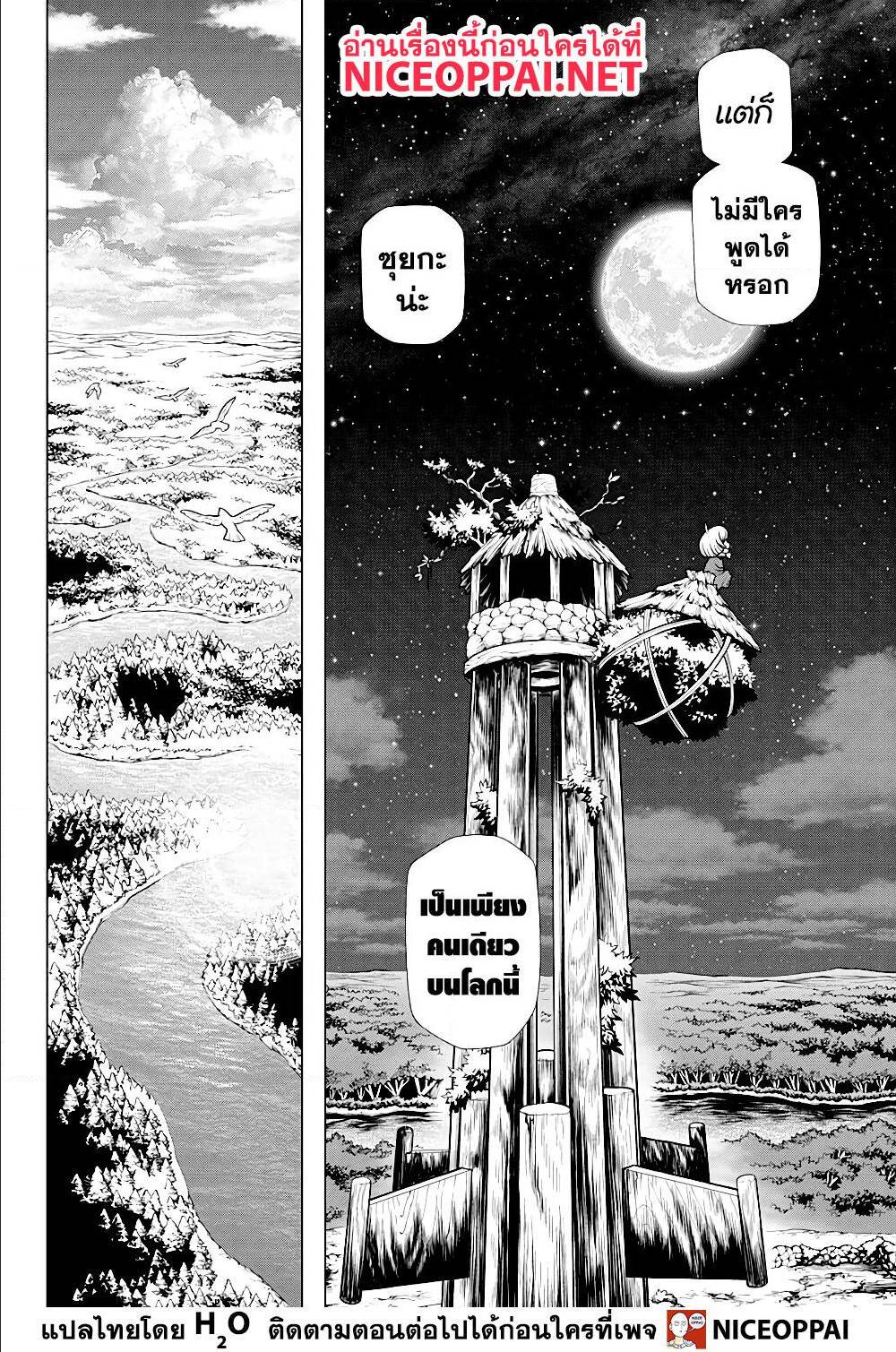 Dr Stone 195008