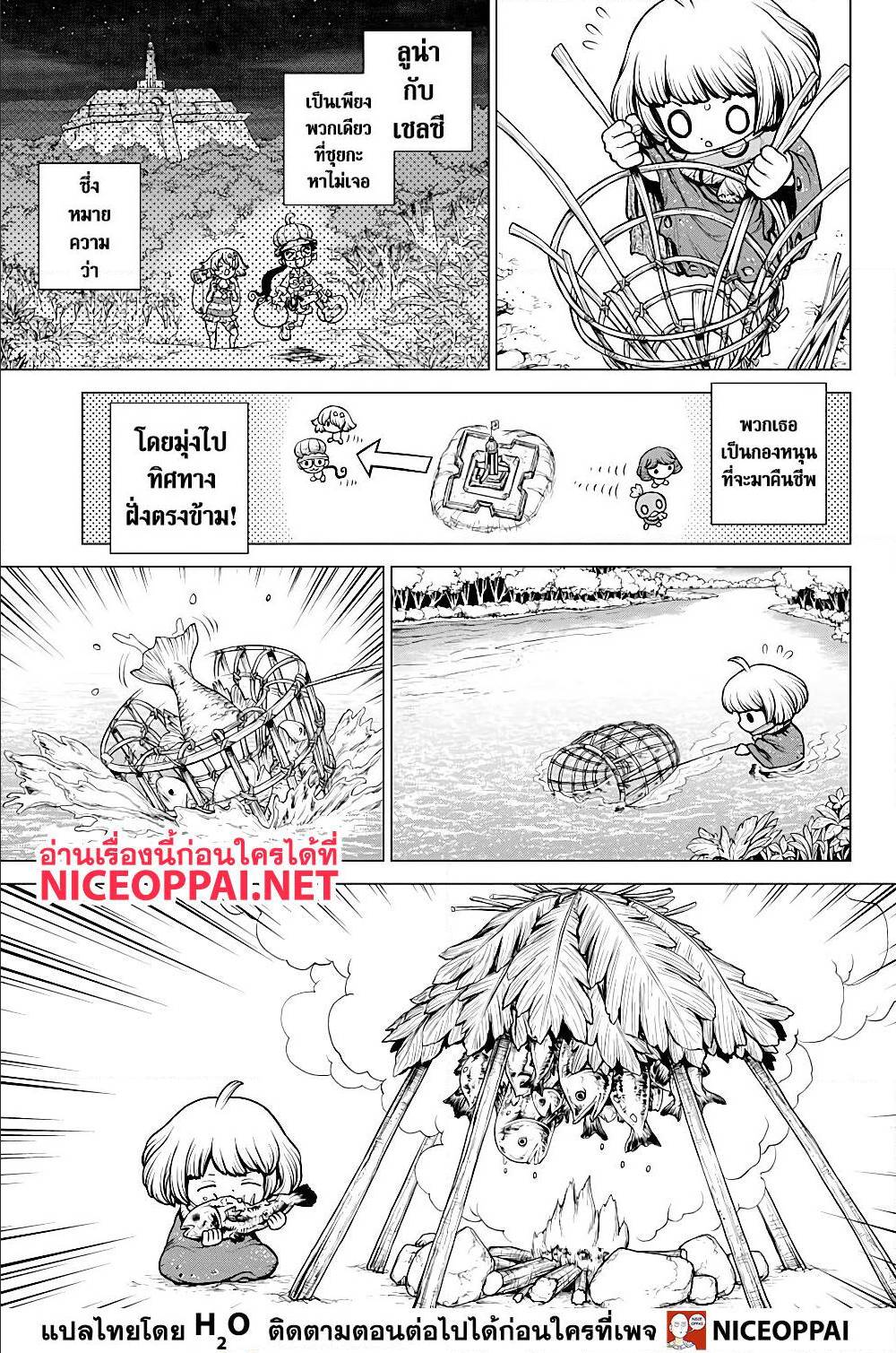 Dr Stone 195009