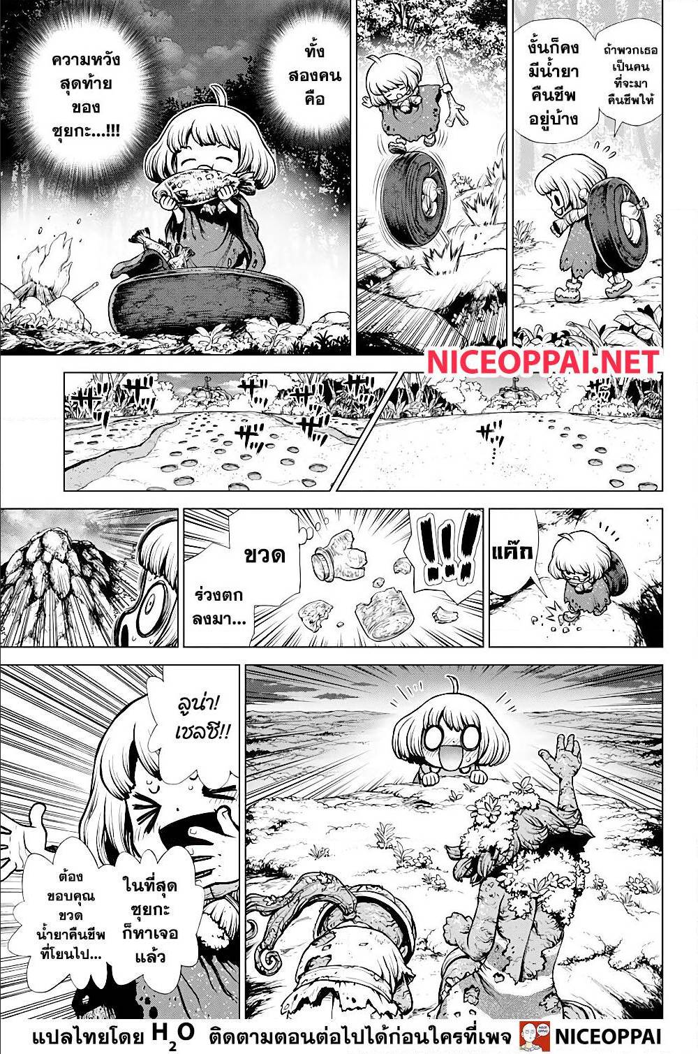 Dr Stone 195011