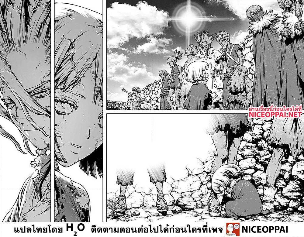 Dr Stone 195014