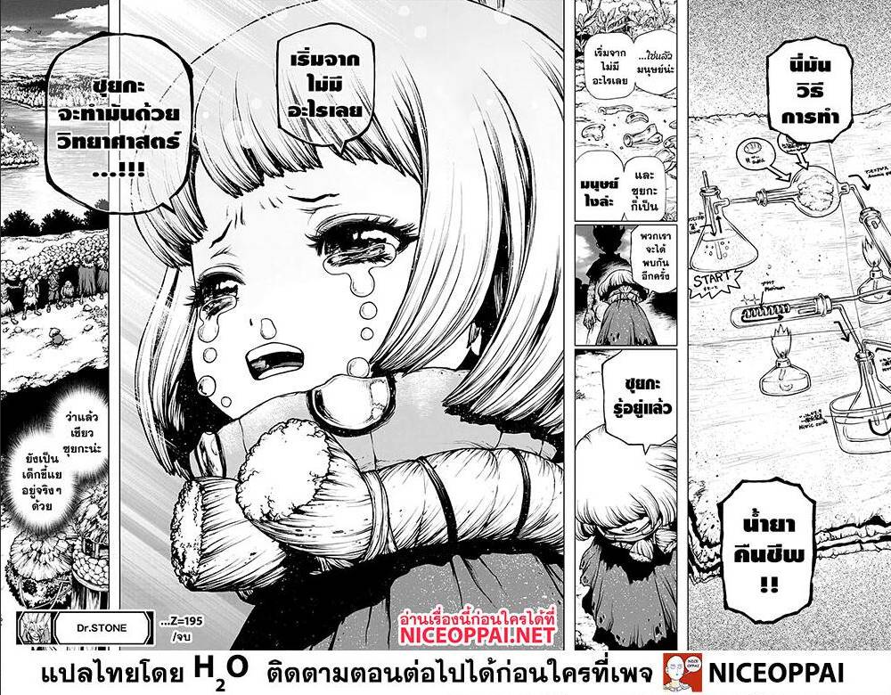 Dr Stone 195017