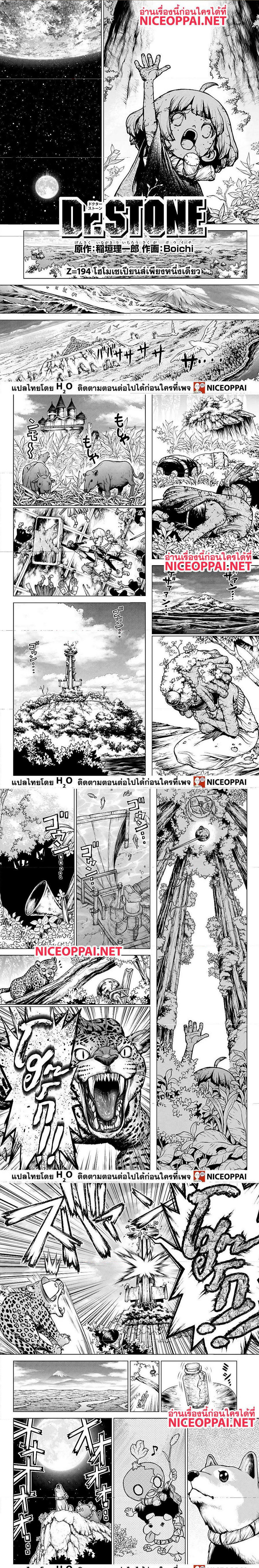 Dr.Stone194 (1)