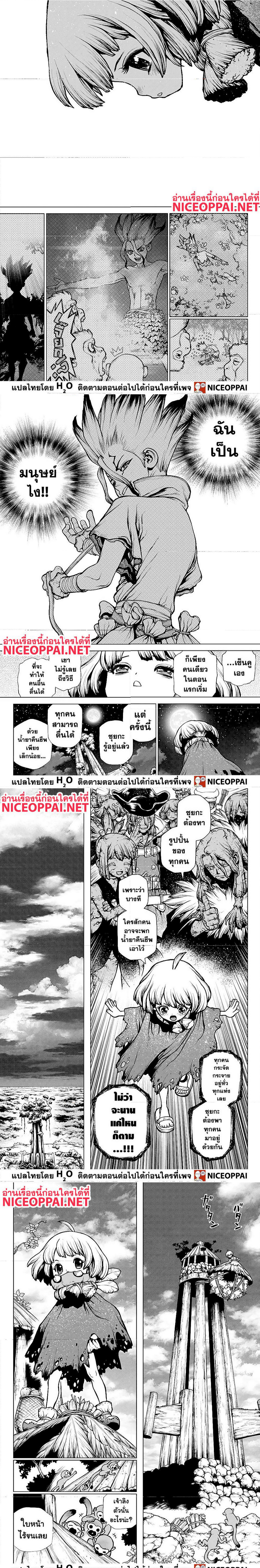 Dr.Stone194 (4)