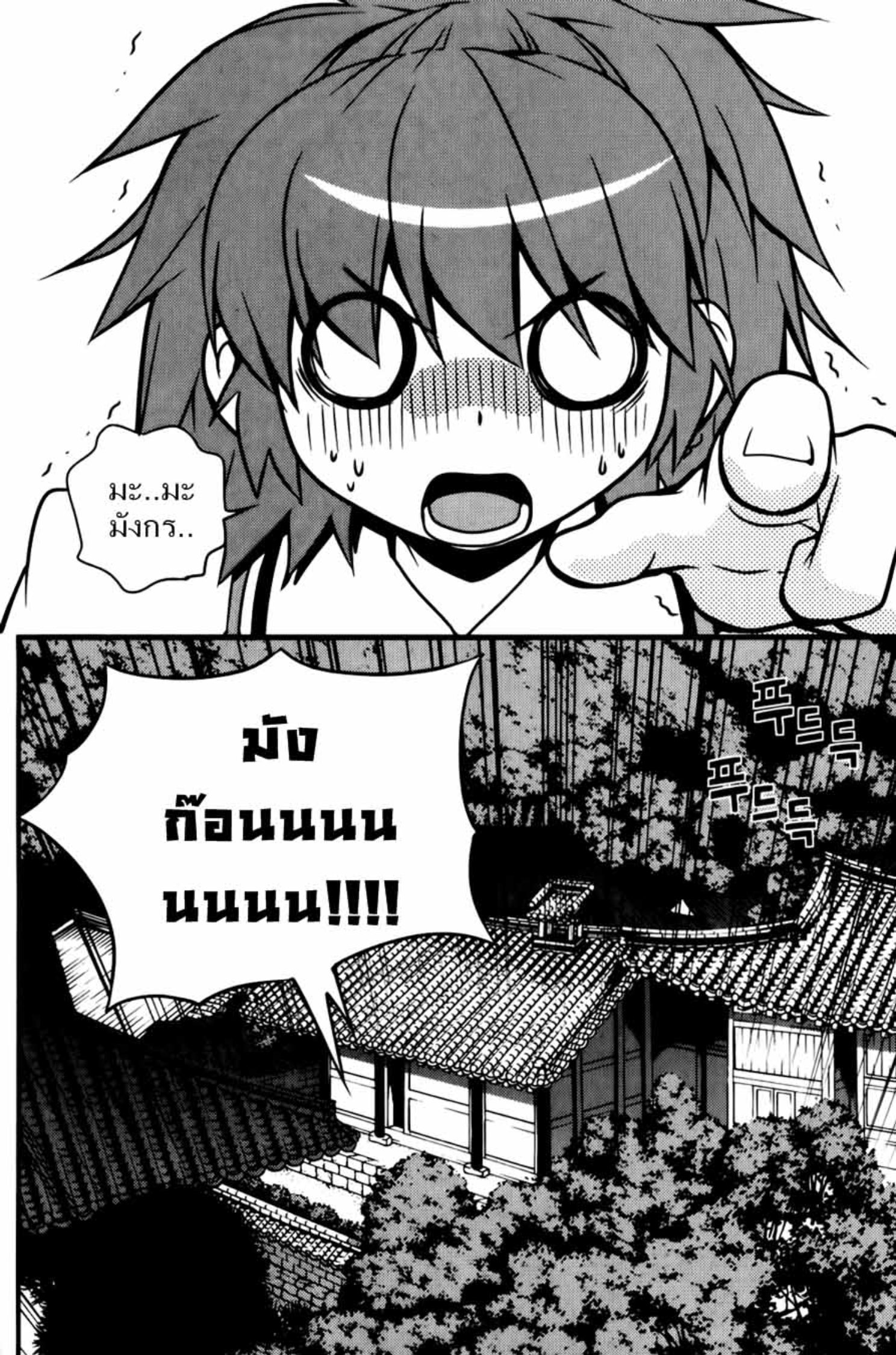 Dragon Who