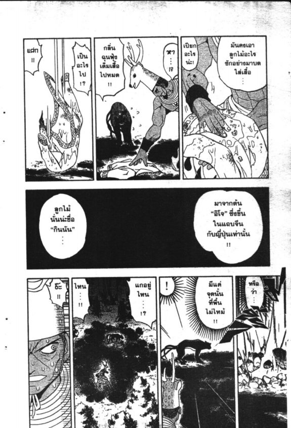 à¸à¸±à¸Šà¹€à¸šà¸¥