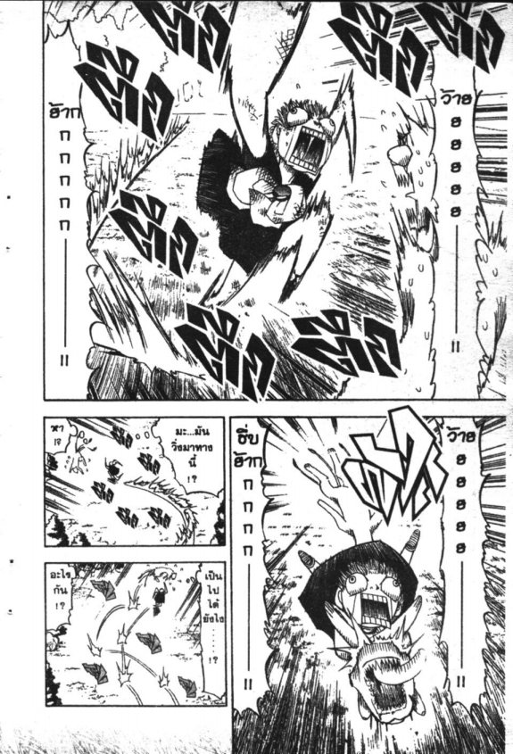 à¸à¸±à¸Šà¹€à¸šà¸¥