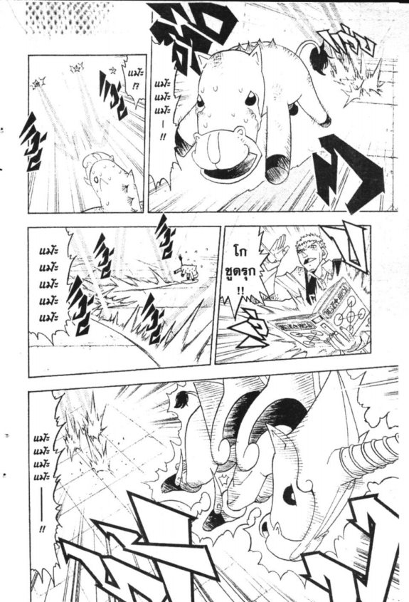 à¸à¸±à¸Šà¹€à¸šà¸¥