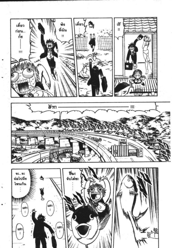 à¸à¸±à¸Šà¹€à¸šà¸¥