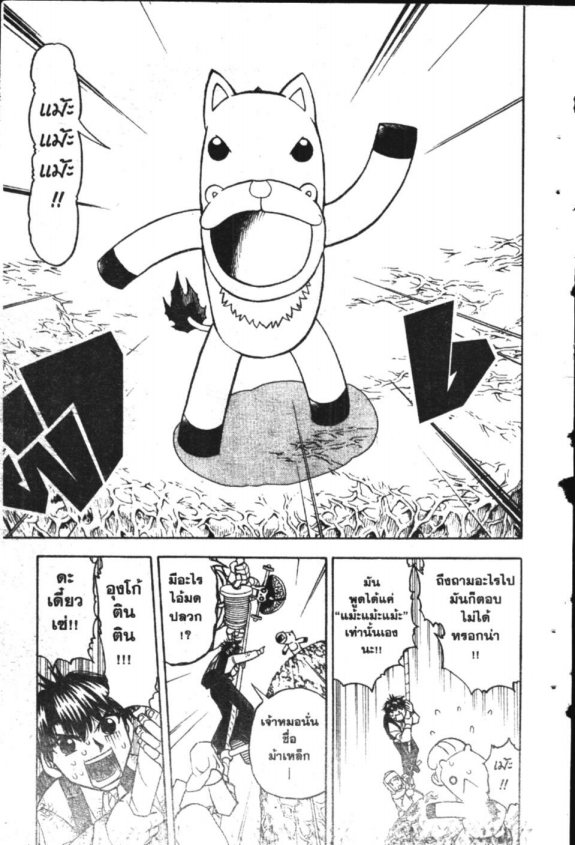 à¸à¸±à¸Šà¹€à¸šà¸¥