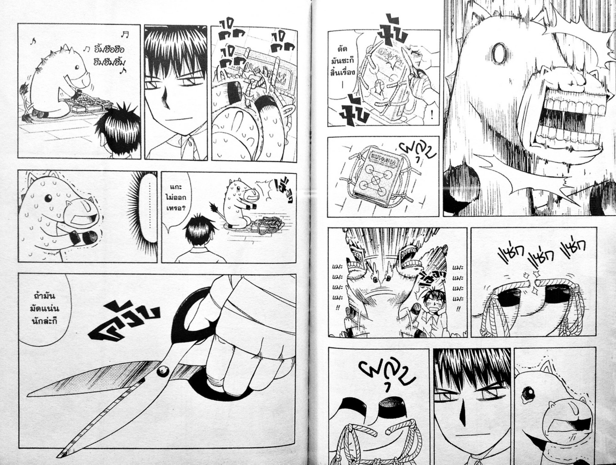 à¸à¸±à¸Šà¹€à¸šà¸¥