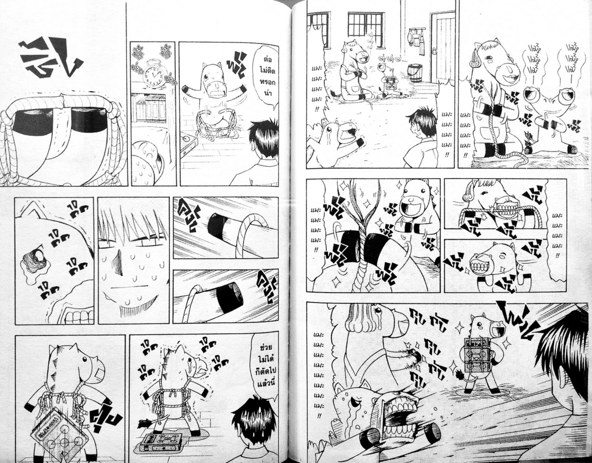 à¸à¸±à¸Šà¹€à¸šà¸¥