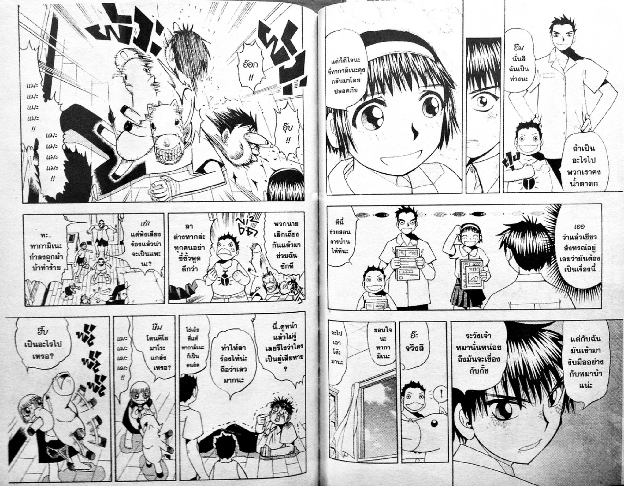 à¸à¸±à¸Šà¹€à¸šà¸¥