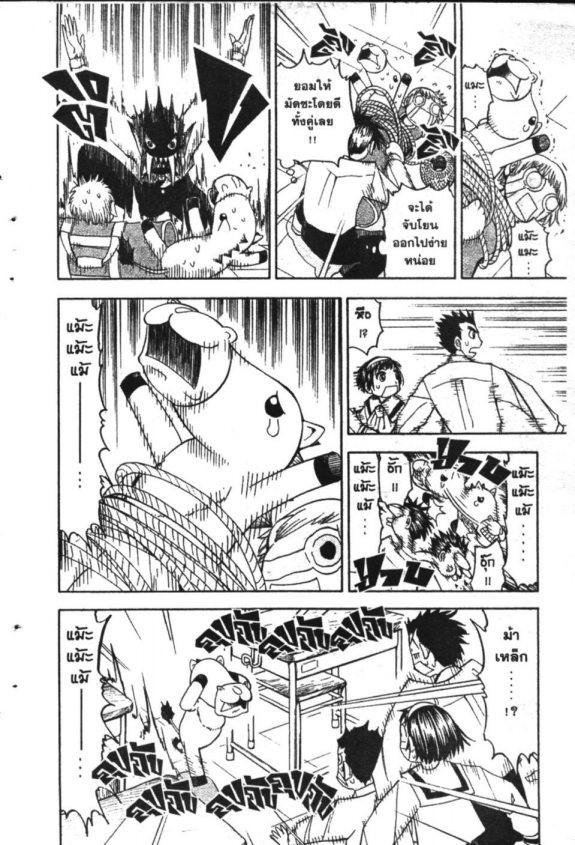 à¸à¸±à¸Šà¹€à¸šà¸¥