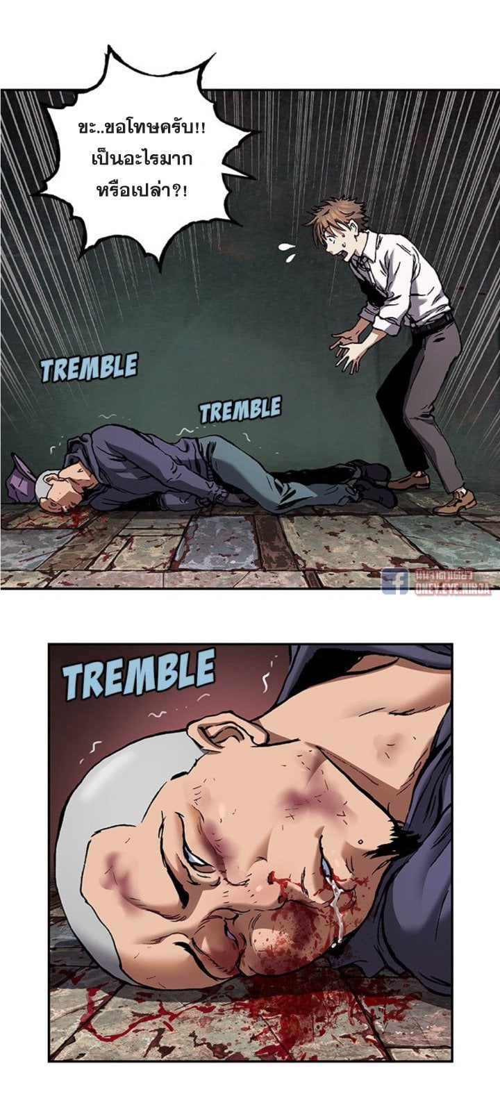 à¸­à¹ˆà¸²à¸™à¸¡à¸±à¸‡à¸‡à¸° à¸à¸²à¸£à¹Œà¸•à¸¹à¸™