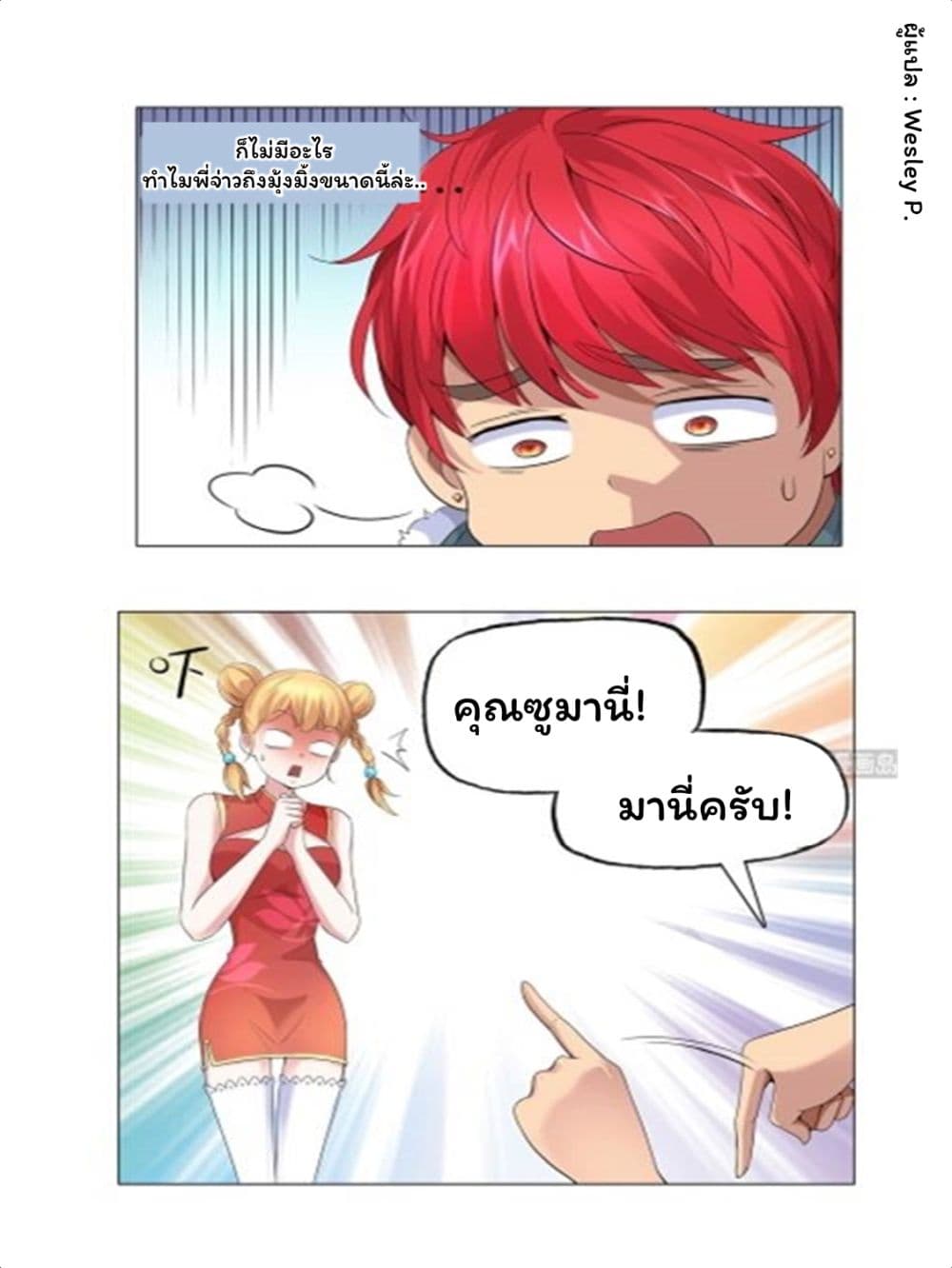 เธญเนเธฒเธ Metropolitan Supremacy System