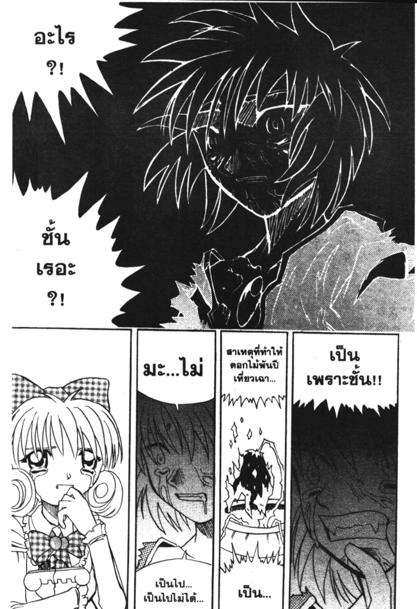 à¸ˆà¸´à¹‰à¸‡à¸ˆà¸­à¸ 9 à¸«à¸²à¸‡ à¸®à¸±à¸™à¹€à¸®à¸µà¸¢à¸™à¸”à¸‡