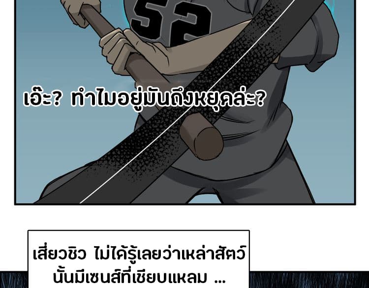 à¸­à¹ˆà¸²à¸™ Super Cube