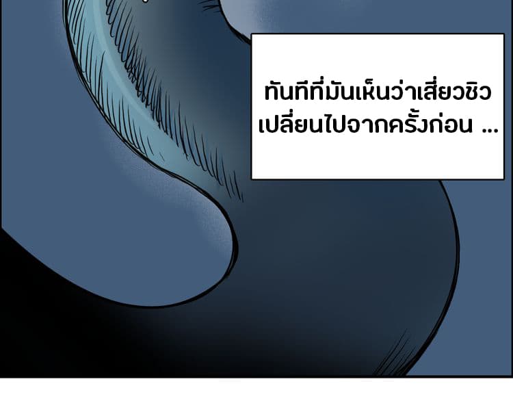à¸­à¹ˆà¸²à¸™ Super Cube