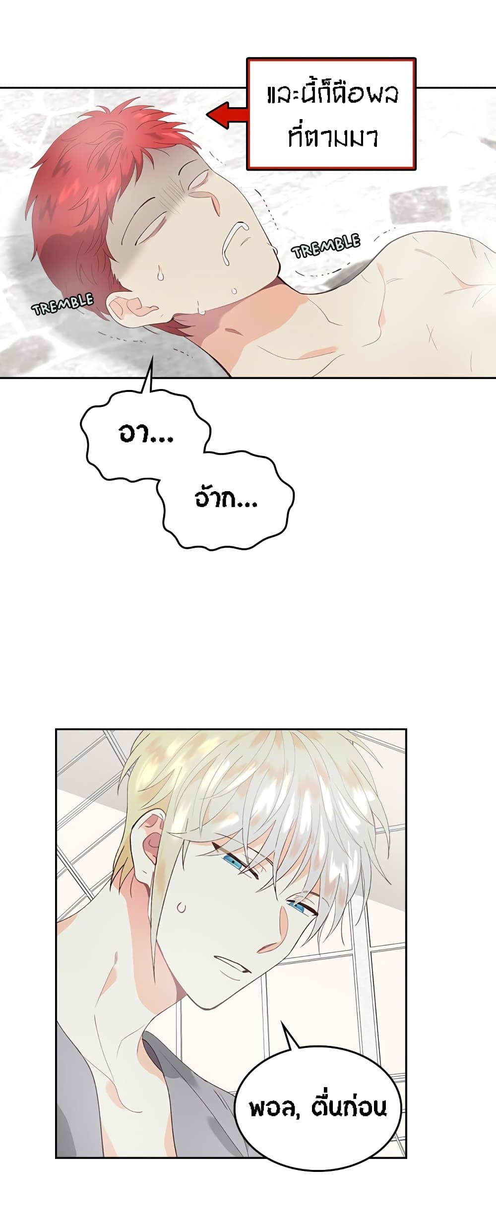 à¸­à¹ˆà¸²à¸™ The Knight and Her Emperor