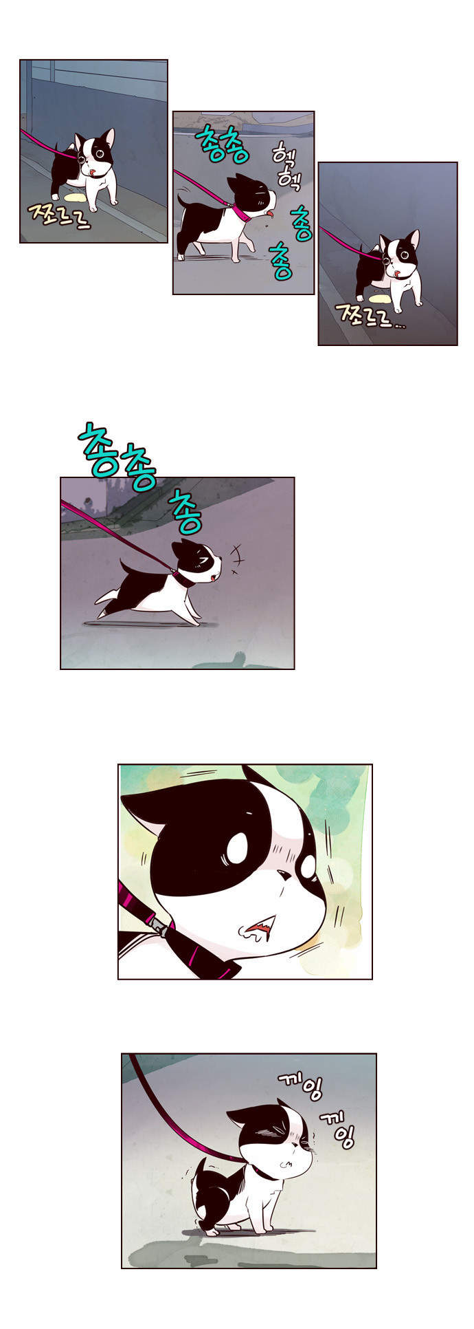 à¸­à¹ˆà¸²à¸™ Girls of the Wildâ€™s