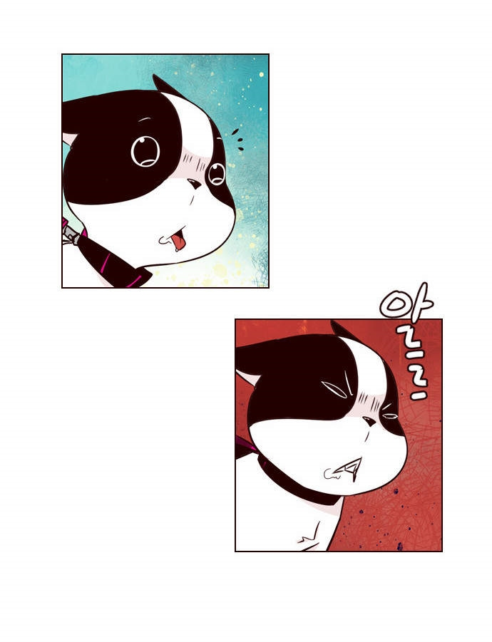 à¸­à¹ˆà¸²à¸™ Girls of the Wildâ€™s