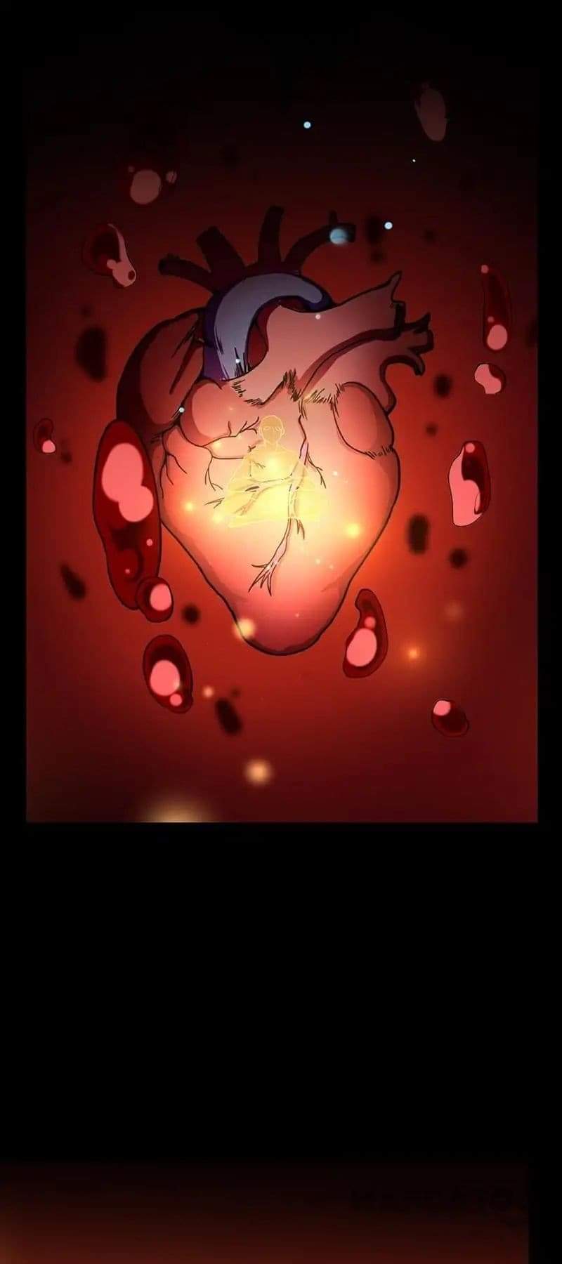 à¸­à¹ˆà¸²à¸™ Wudao du Zun