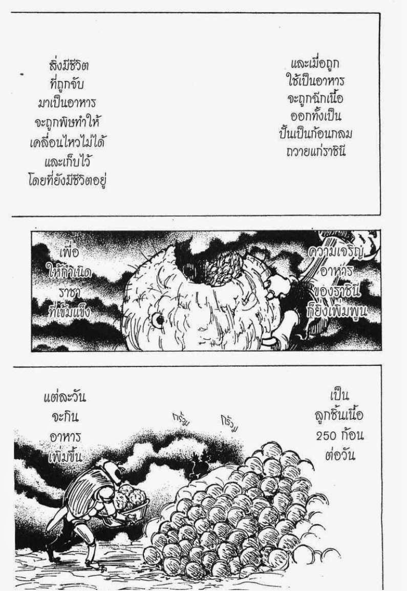 อ่าน Hunter x Hunter