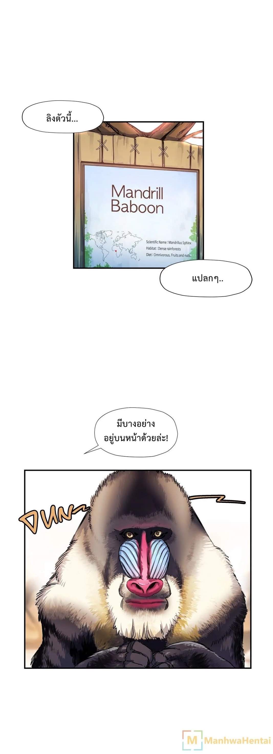 à¸­à¹ˆà¸²à¸™ Under Observation: My First Loves and I