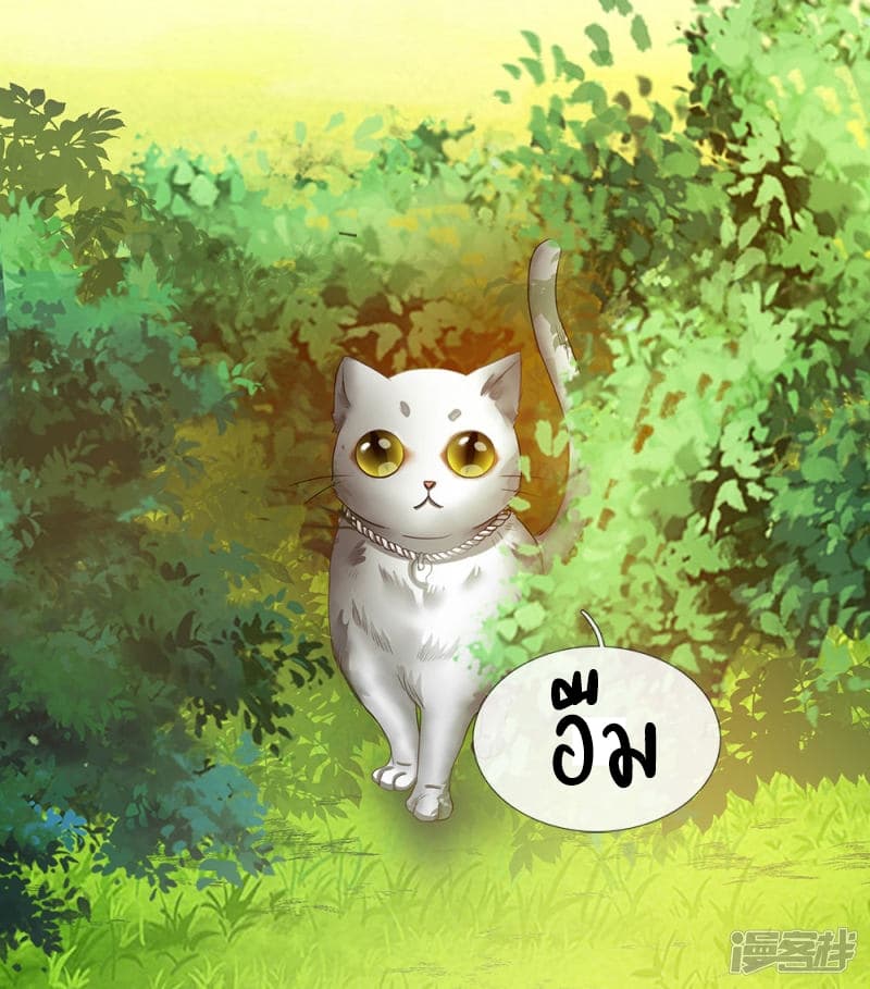 à¸­à¹ˆà¸²à¸™ Sky Sword God