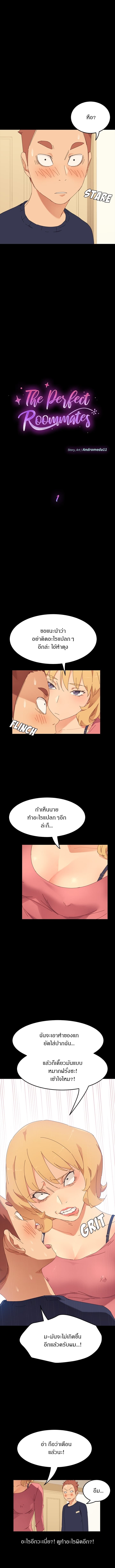 Perfect1 (4)